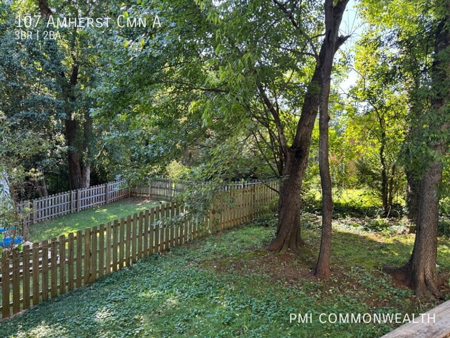 107 Amherst Commons