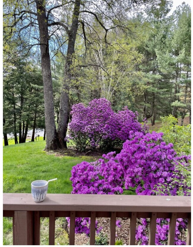 Photo - 9 Berrill Farms Ln Unit Berrill Farms