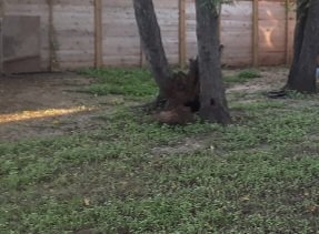 Photo - 911 Bret Ln Unit #B