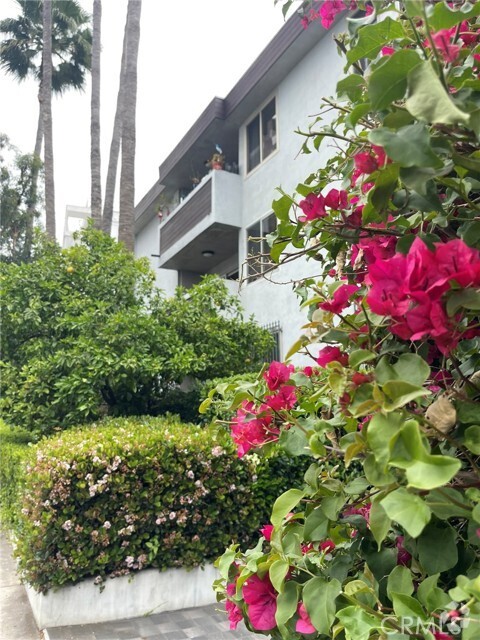 Building Photo - 1124 N La Cienega Blvd Unit 202 Rental