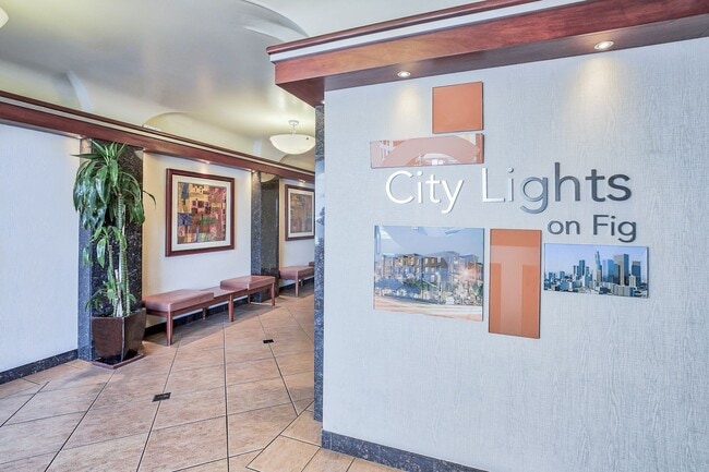 Photo - City Lights on Fig