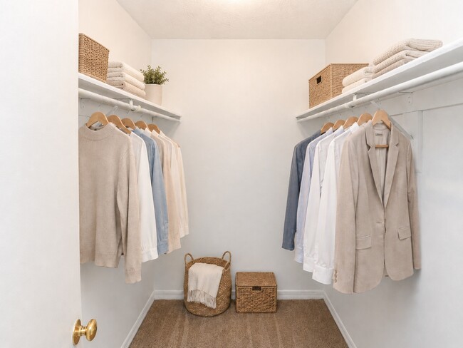Reserve at Lake Pointe Apartments and Townhomes