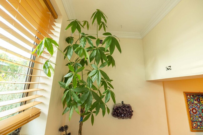 Building Photo - 3148 College Ave