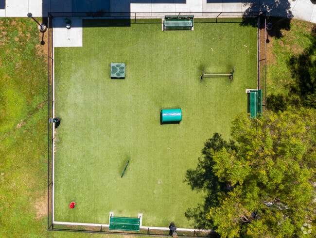 Dog Park