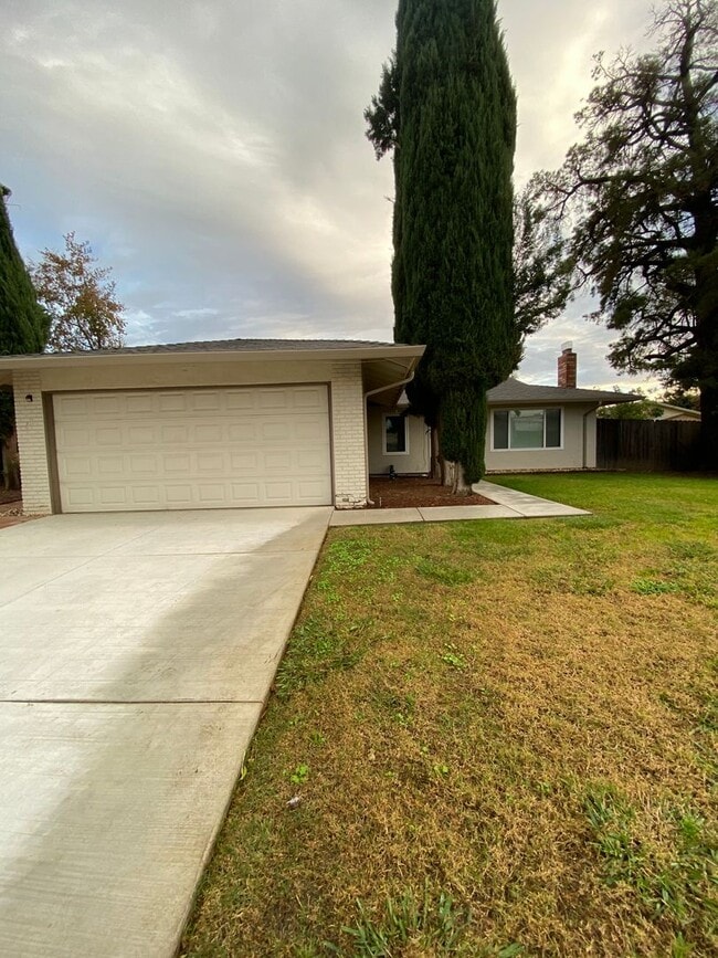 Photo - Available NOW - Cute 3 Bed 2 bath home in ...