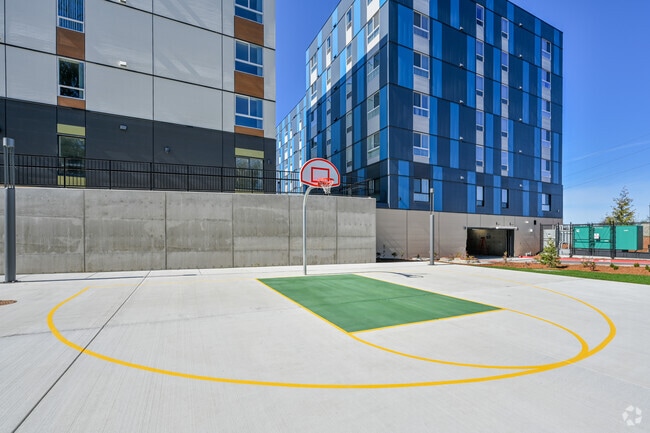 Basketball Court