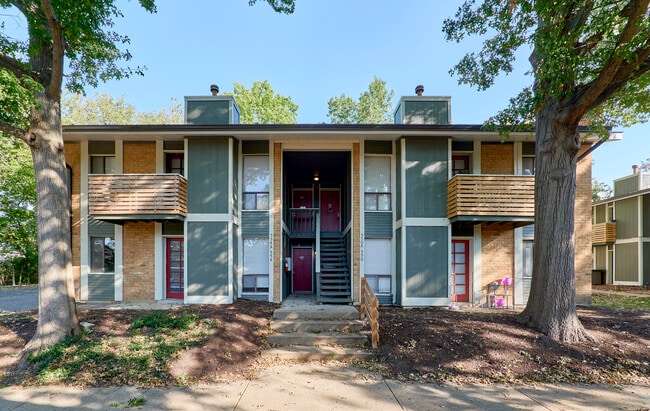 Photo - Kirkwood Forest