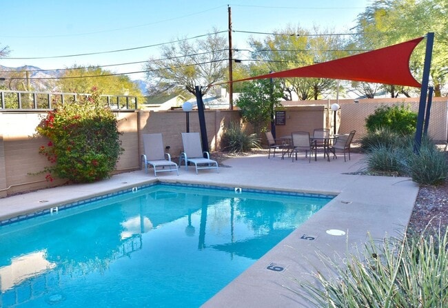 Photo - The Fountains