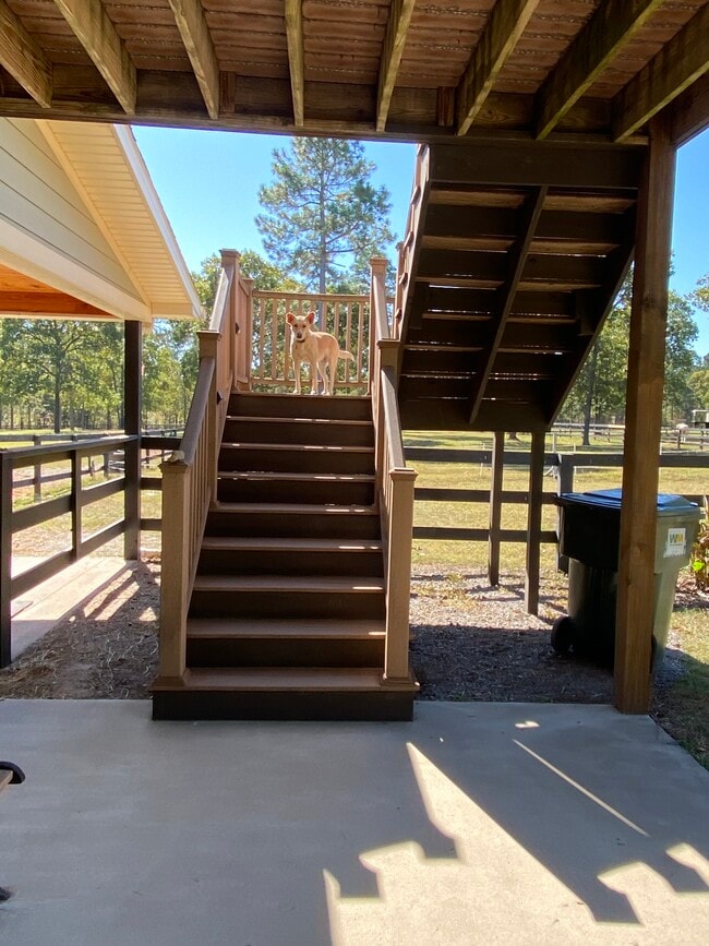 Stairs going up - 970 Shell Bluff Dr