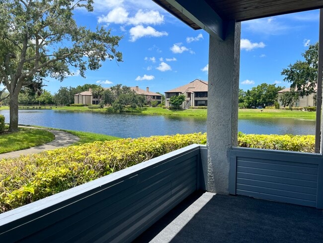 Building Photo - 10263 Gandy Blvd N Unit 413 Rental