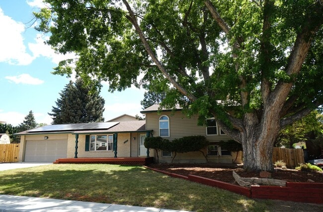 Photo - 5007 Alta Loma Rd House