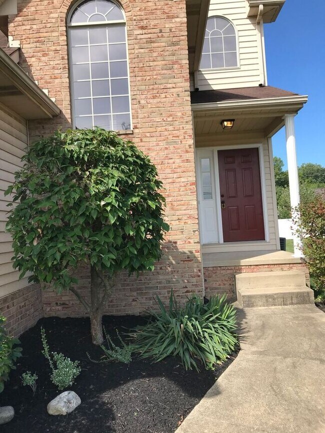 3 Bedroom Duplex North Canton Frank Rd Townhome Townhome Rental in