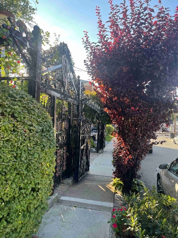 Photo - 51 Argyle Terrace Unidad B1