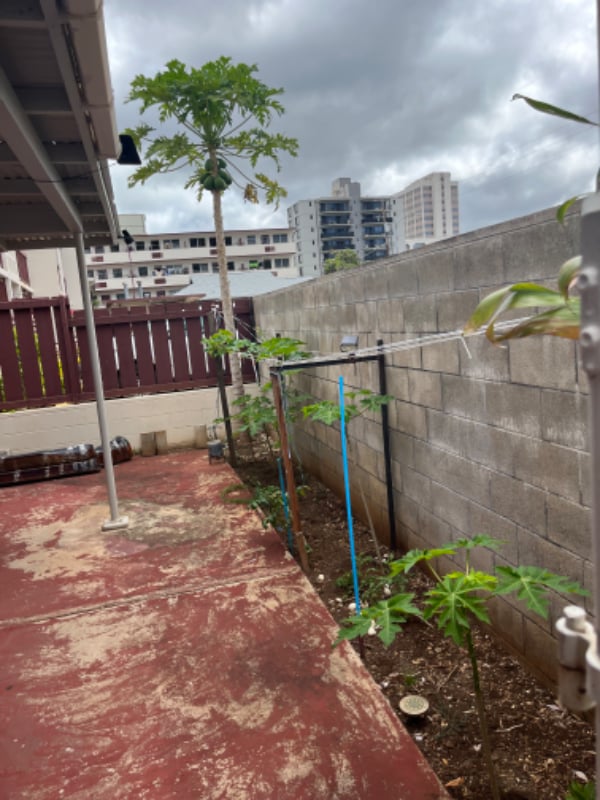 Photo - 1238 Rycroft St Unit Apt C