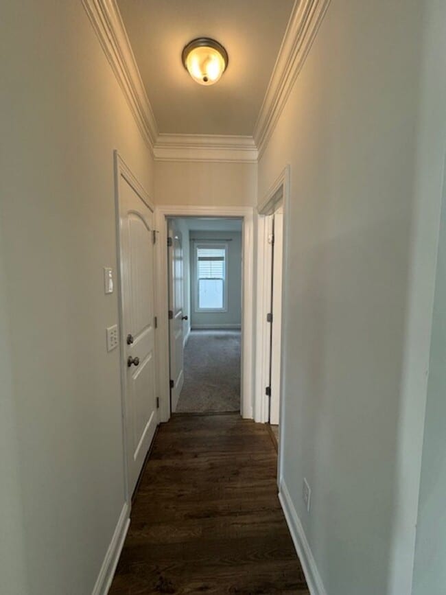 Photo - The Creek Of Willowwick