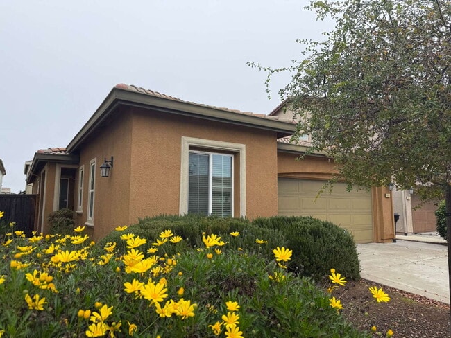 Building Photo - Modern 4-bedroom 3-bath available in Elk Grove