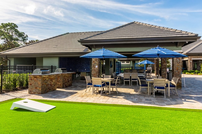 Photo - Azalea at West Melbourne