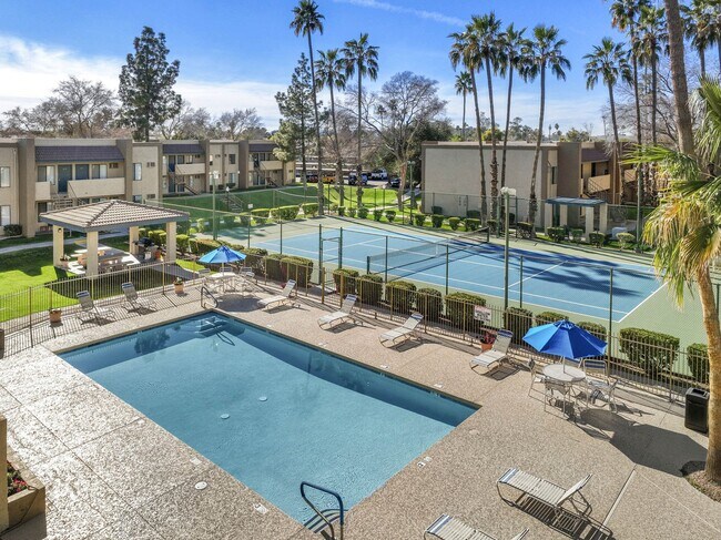 Swimming Pool | Tennis Court | Shorebird