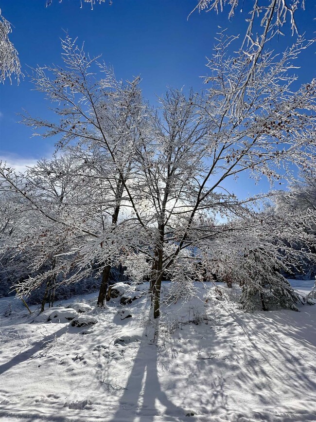 Photo - 5451 River Rd