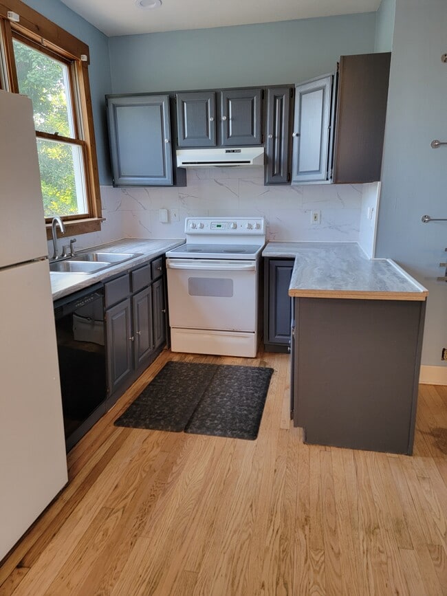 Kitchen - 231 Emming St Unit 2