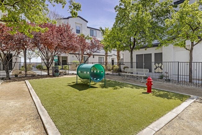 ¡Desata lo último en lujo que acepta mascotas en The Michael B! Nuestro parque para perros con puertas ofrece un refugio sereno con árboles a la sombra y un acogedor banco para que usted y su amigo peludo se relajen y disfruten del día. - The Michael B Townhomes and Flats