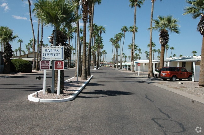 Photo - Palm Shadows