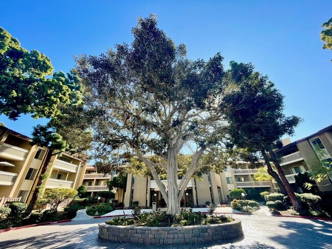 1 Bedroom 1 Bath Condo (Pacific Beach) - 1 Bedroom 1 Bath Condo (Pacific Beach)