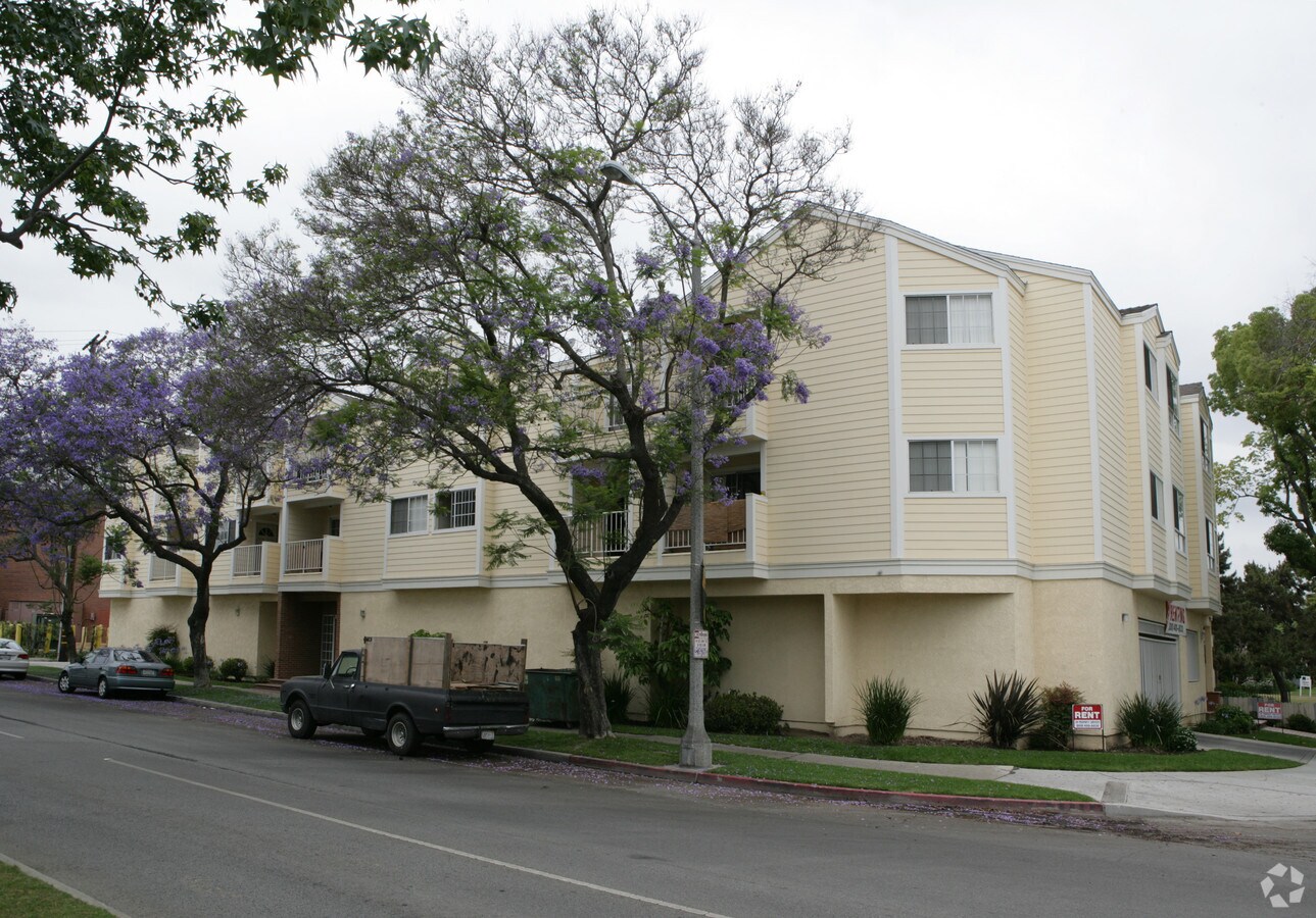Elm Court - Elm Court