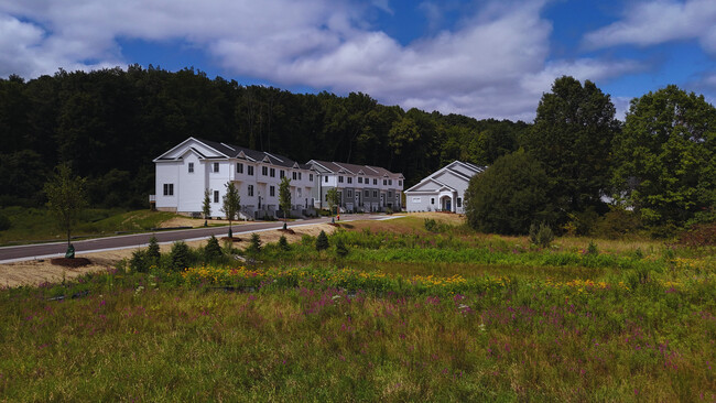 The Grand Ryefield - The Grand Ryefield Townhomes