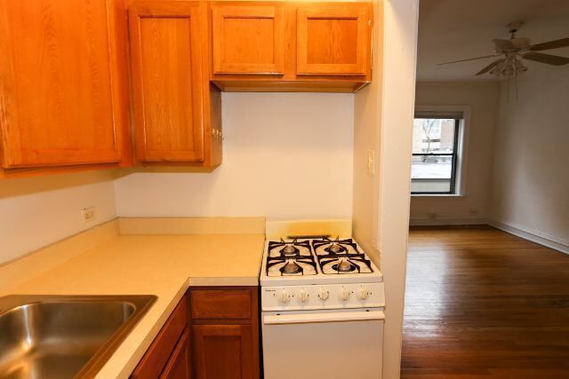 Photo - 1169 N Dearborn Unit 513