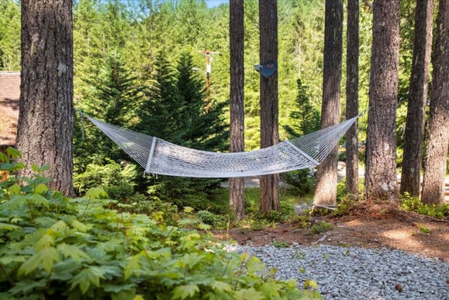 Building Photo - 321 Paradise Dr Unit ID1323720P