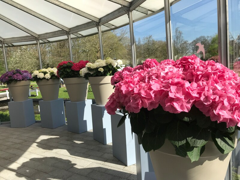 Photo - 215 Bibro C Unit C