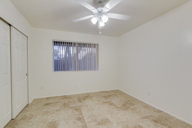 Photo - Desert Sunshine 1