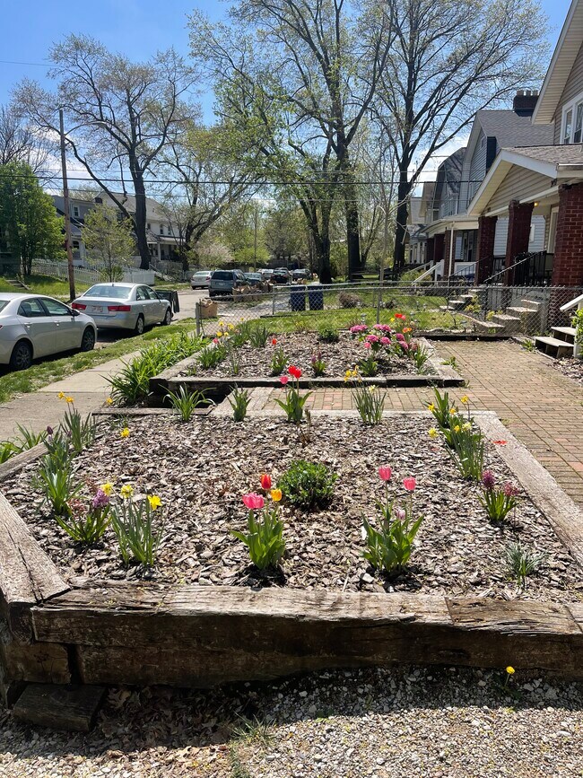 Parterres del jardín delantero: plantas perennes de primavera - 2441 Medary Ave