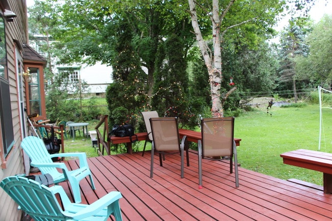 Cubierta trasera - 7 Elm St