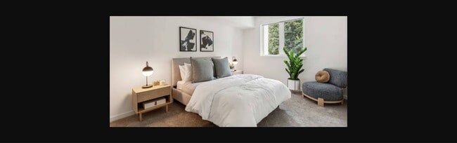 Photo - Traxx Apartments