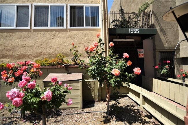 Building Photo - 1555 Madison St Unit 109 Rental