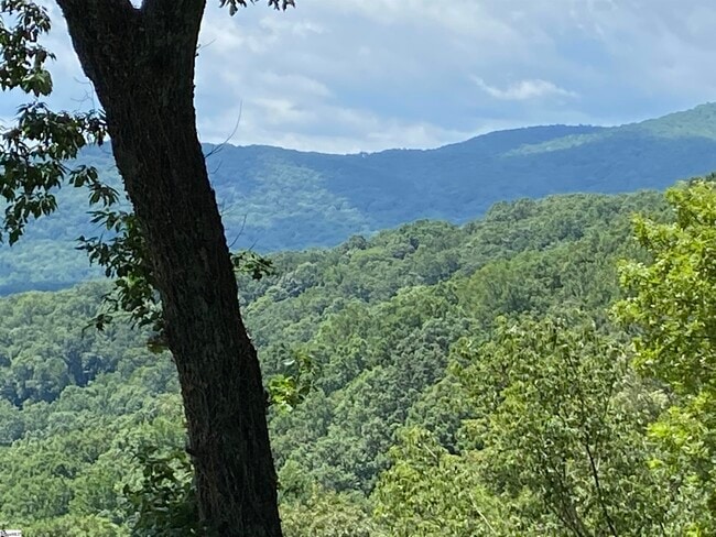 Photo - 1671 Hogback Mountain Rd