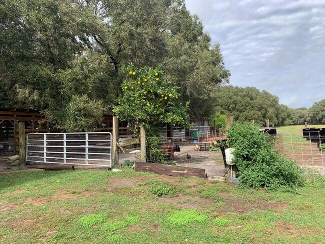 Photo - 17028 FL-674