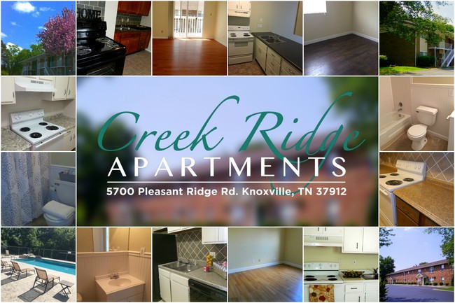 Creek Ridge Apartments - Creek Ridge Apartments