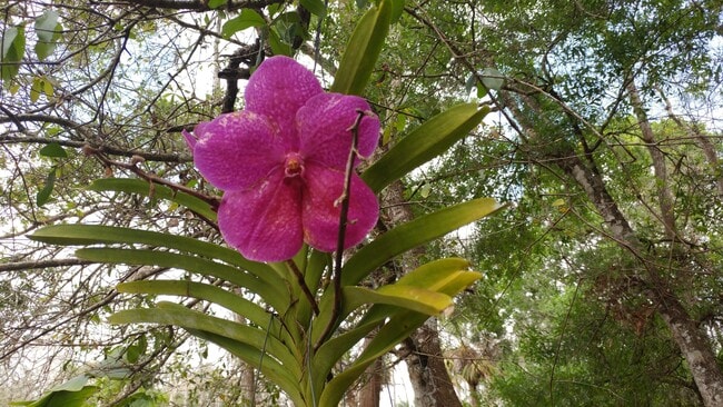 Photo - 2481 Golden Gate Blvd E Unit #2