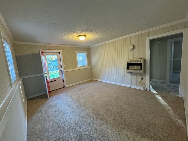 Photo - AVAILABLE TO SHOW!