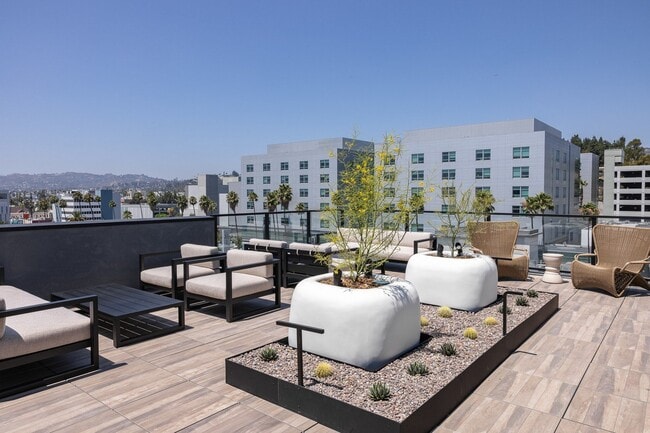 Photo - Skylar At Sunset