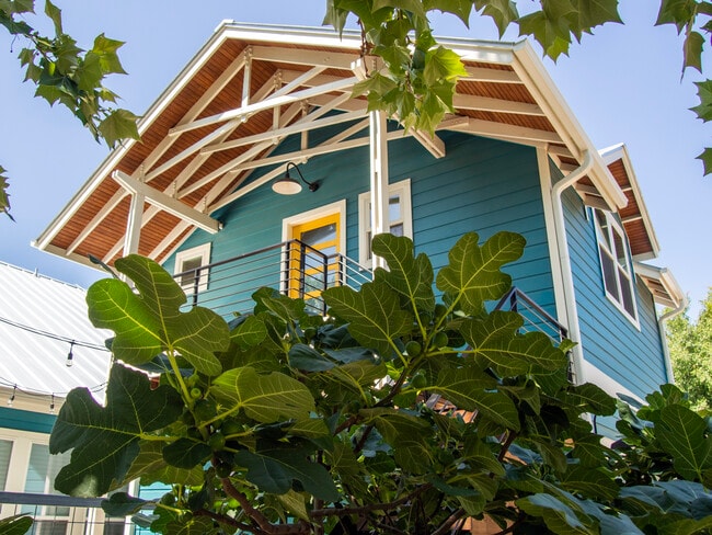 Gorgeous one-bedroom apartment in quiet neighborhood - 2016 McCloskey St Unit 2