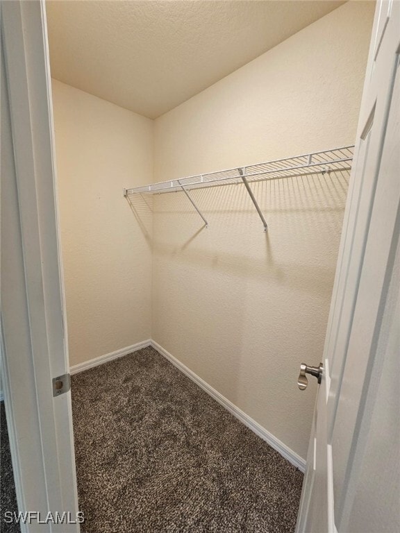 Building Photo - 1506 Rugby Cir Rental