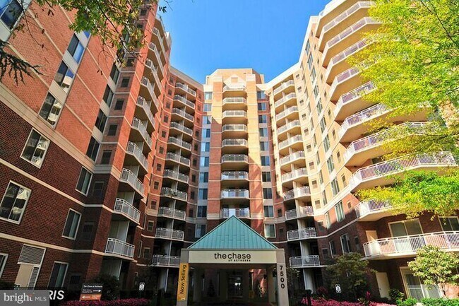 Building Photo - 7500 Woodmont Ave Unit S1011 Rental