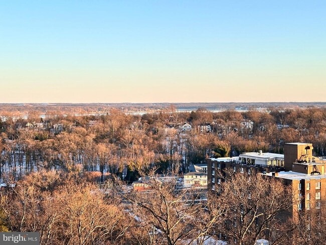 Building Photo - 5902 Mt Eagle Dr Unit 1102