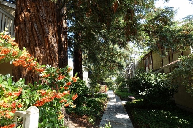 Photo - Miramar Plaza Apartments