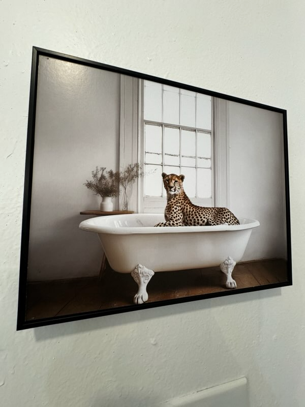 Photo - 3223 St Claude St