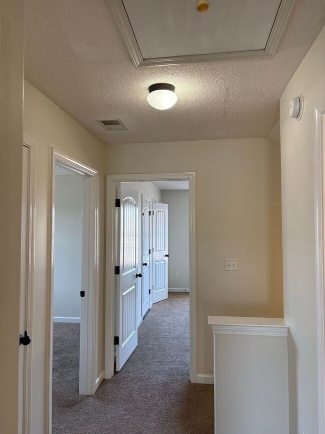 Photo - Spacious, Remodeled Home in Cordova